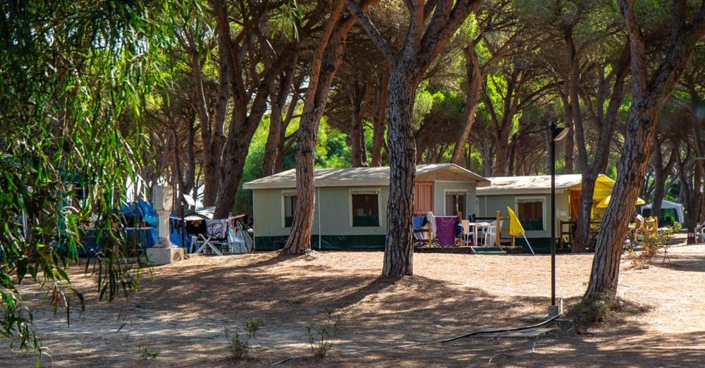 ארבוראה Camping Village S'Ena Arrubia מראה חיצוני תמונה