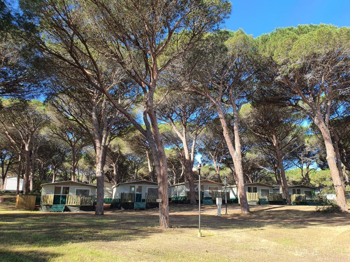 ארבוראה Camping Village S'Ena Arrubia מראה חיצוני תמונה