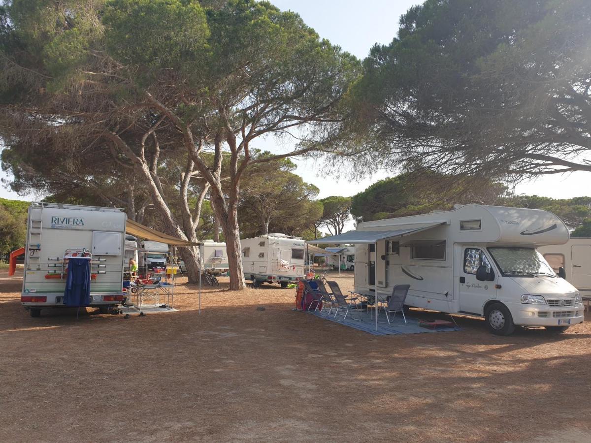 ארבוראה Camping Village S'Ena Arrubia מראה חיצוני תמונה