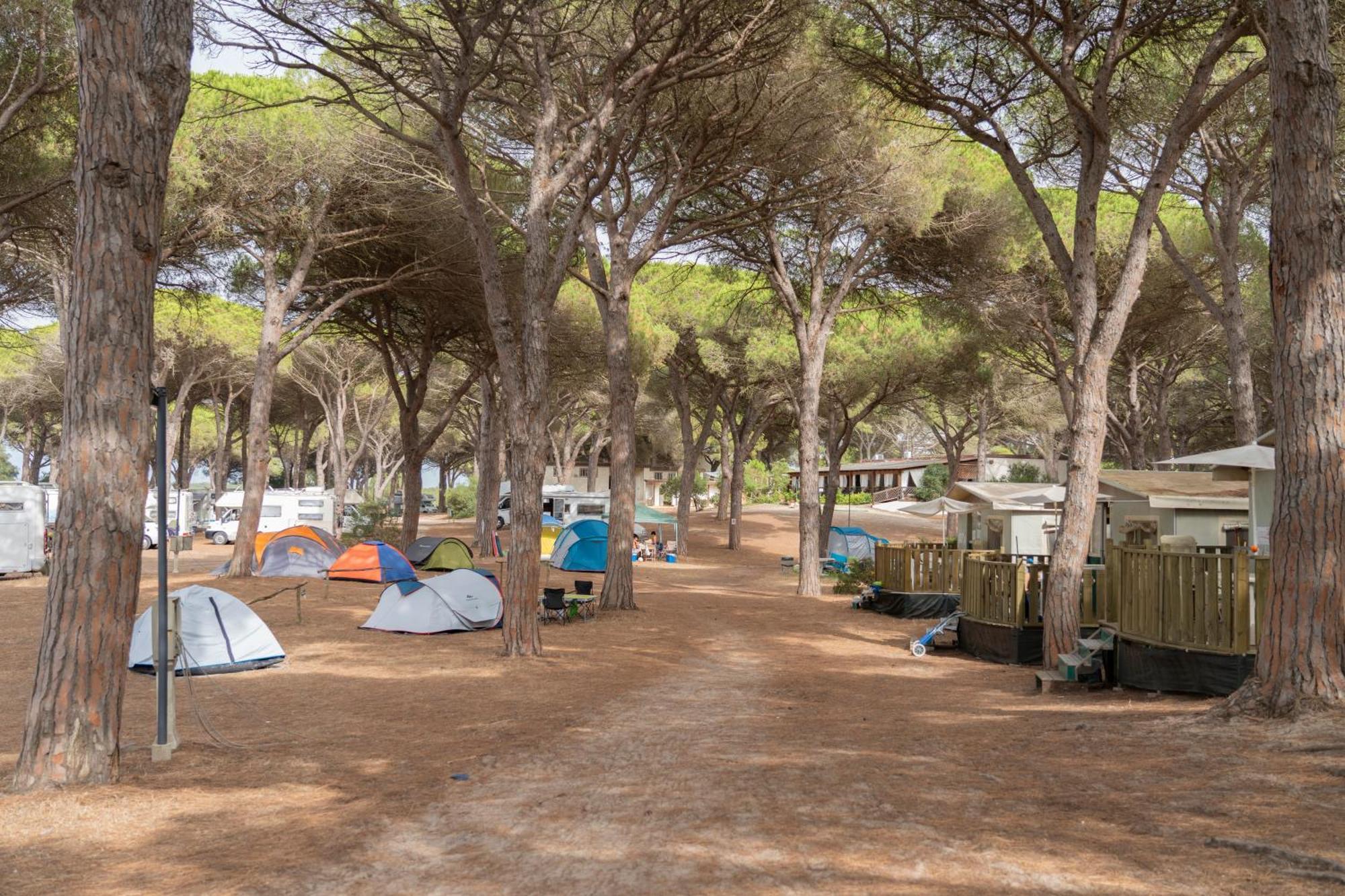 ארבוראה Camping Village S'Ena Arrubia מראה חיצוני תמונה